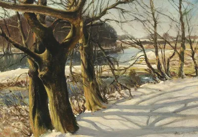 A snow covered lakeside.