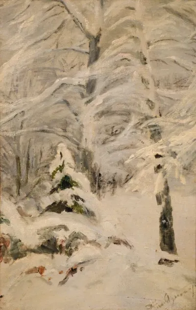 A snowscape.