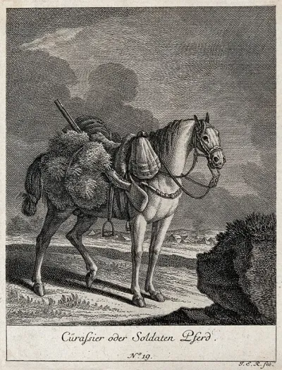 A soldier-horse with a shotgun attached to the saddle cloth standing in a field with a camp site in the background