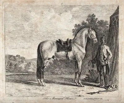 A soldier standing next to a tent is holding a horse by the reins