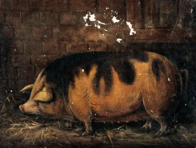 A sow in the straw