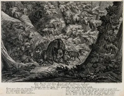 A sow with her piglets in a forest