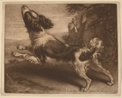 A Spaniel Jumping