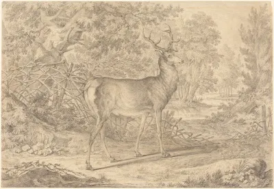 A Splendid Young Stag before a Wattle Fence