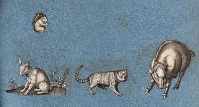 A squirrel, a hare,, a leopard (?) and a warthog (or wild boar)