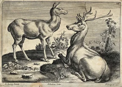 A stag and a doe are resting on the shore of a pond near a vine