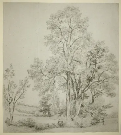 A Stand of Elm Trees (recto); A Study of East Bergholt with the Church (verso)