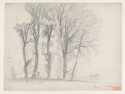 A Stand of Trees