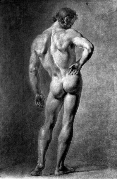 A standing male nude seen from behind