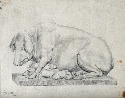 A statue of a hog with litter of suckling piglets