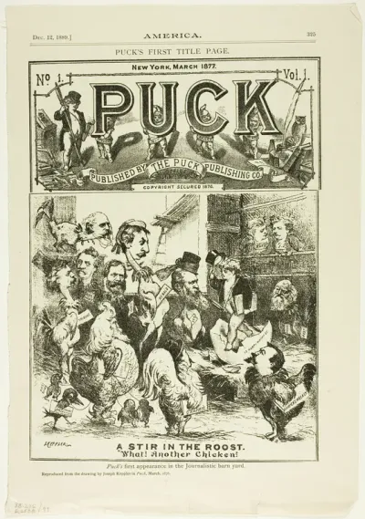 A Stir in the Roost, from America
