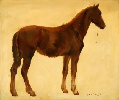 A study of a horse.