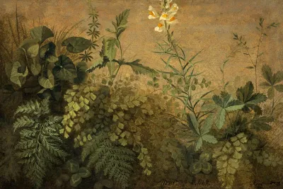 A Study of Plants