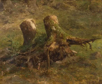 A Study of Tree Stumps