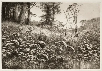 A Summer Afternoon
