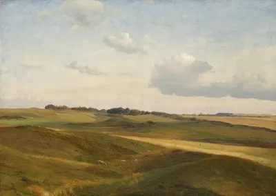 A summer afternoon. View from the vicinity of Rørvig.