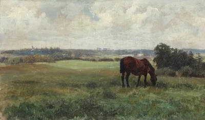 A summer landscape with a grazing horse by Kjærsgaard, Denmark.