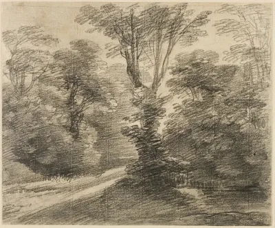 A Sunlit Path through a Wood
