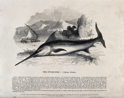 A swordfish suspended mid-air before a coastal scene