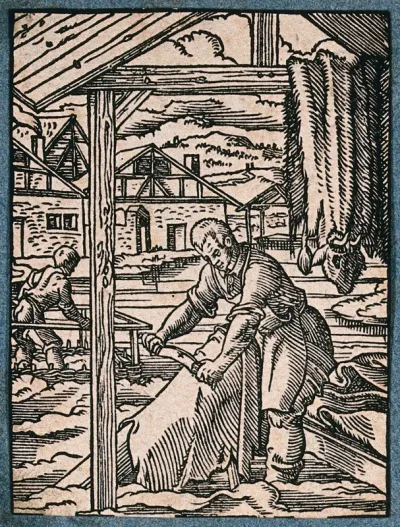 A tanner or leather worker scraping animal hides