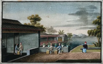 A tea plantation in China: workers are shown weaving baskets
