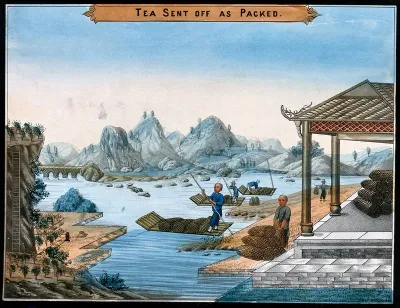 A tea plantation in China: workers load tea canisters for export onto rafts