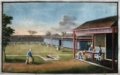 A tea plantation in China: workers seated on a verandah grade the tea leaves by hand