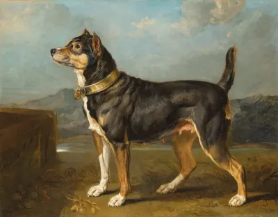 A terrier in a landscape