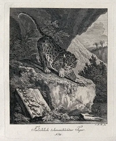 A tiger about to leap off a rock in an exotic landscape