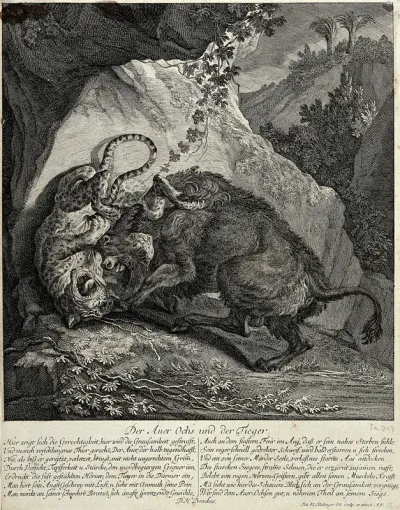 A tiger and an ox are fighting in front of a cave in the mountains with palm trees in the background