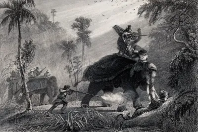 A tiger hunt in a tropical forest with the hunting party riding animals