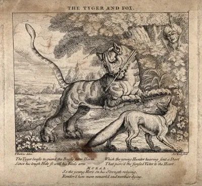 A tiger is shot by an archer who appears between the trees as a fox walks by