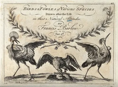 A title page illustrated with a grebe, an eagle and a heron