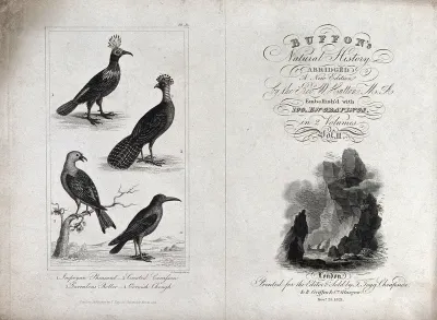 A title page (right) embellished with illustration of people ascending steep cliffs and a book plate (left) of four birds