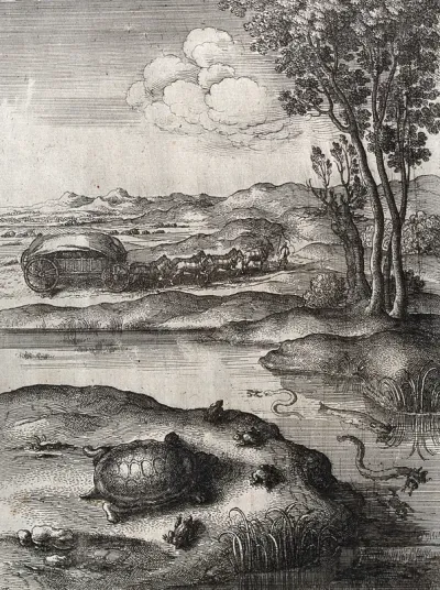 A tortoise is surrounded by frogs on the shore of a lake in which eels are devouring other frogs