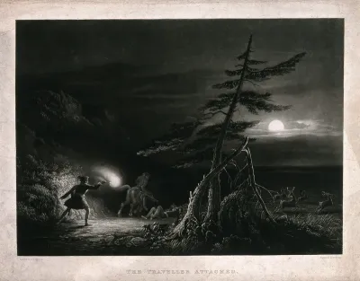 A traveller is attacked by brigands at night in a wild terrain