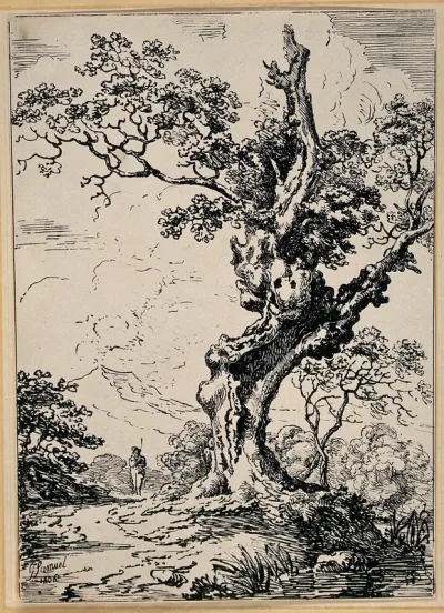 A tree; a man in the background