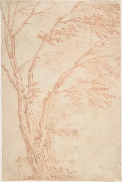 A tree and figure