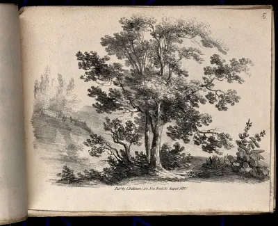 A tree, possibly an ash tree (Fraxinus species), with surrounding vegetation