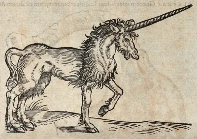 A unicorn. Woodcut after C. Gessner