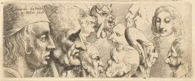 A variety of heads