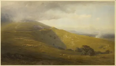A View on the South Downs
