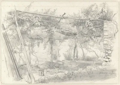 A vineyard in Olevano