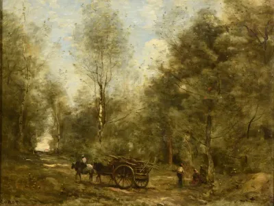 A walk in the wood of Wagnonville
