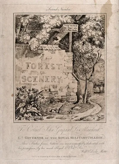 A wall bearing the words "forest scenery" and overhung by trees at the entrance to a woodland walk