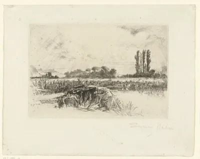 A water meadow