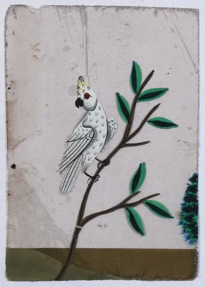 A white cockatoo sitting on a stem