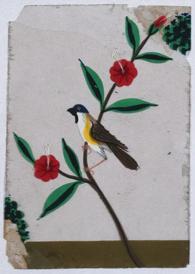 A white, yellow and brown bird with a blue head sitting on a flower street