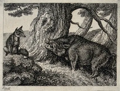 A wild boar chafing its neck against a tree while a fox seated on a rock nearby watches on
