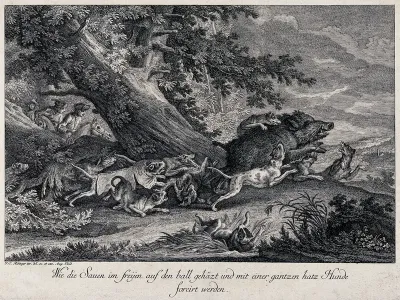A wild boar is chased and attacked by a pack of dogs during a hunt in the forest with mounted huntsmen following the dogs